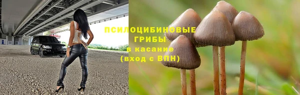 прущая мука Алагир