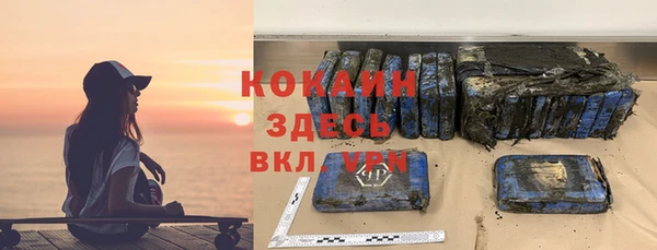 стаф Арсеньев