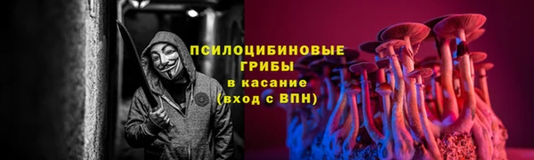 а пвп мука Аркадак