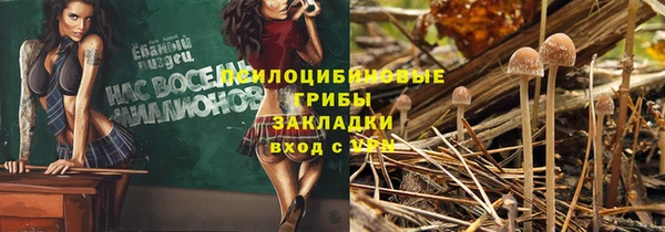 стаф Армянск