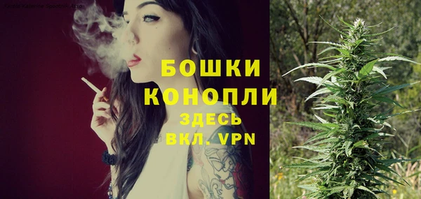 молекула духа Алапаевск
