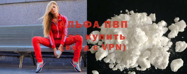 стаф Арсеньев