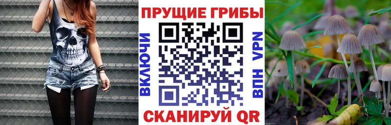 Галлюциногенные грибы Psilocybine cubensis  хочу наркоту  Заинск 